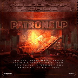 Read more about the article Various Artists – PATRONS LP – NRPFRG015