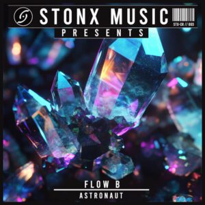 Read more about the article Flow B – Astronaut STX-CR03